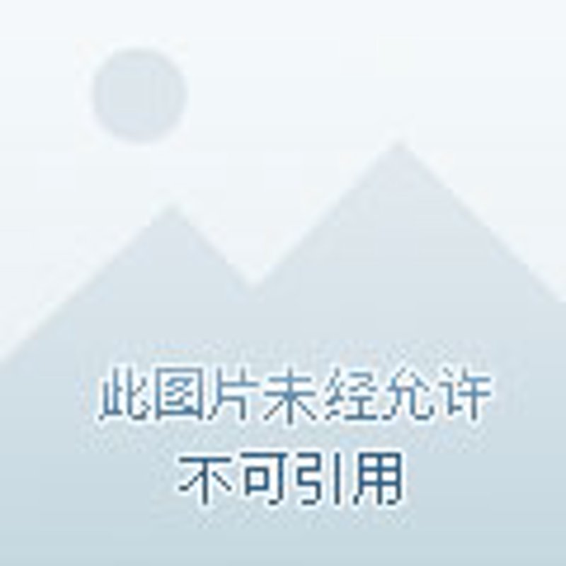 宝宝辅食添加新趋势:五谷杂粮助力健康成长